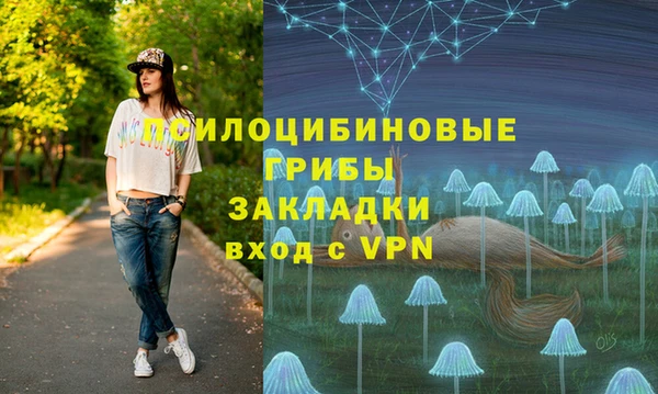 молекула духа Зеленодольск