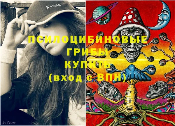 молекула духа Зеленодольск